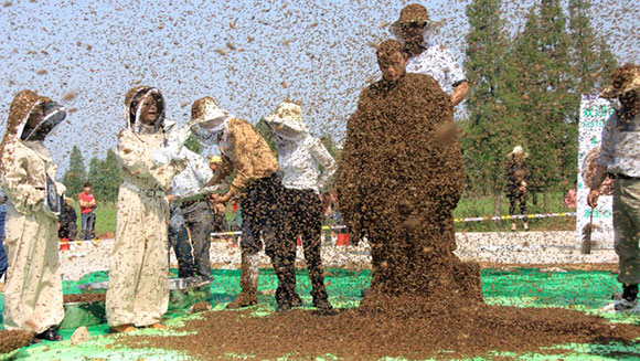 Мировой рекорд установил китаец Руан Лиангминг покрыв своё тело 637 000 пчел