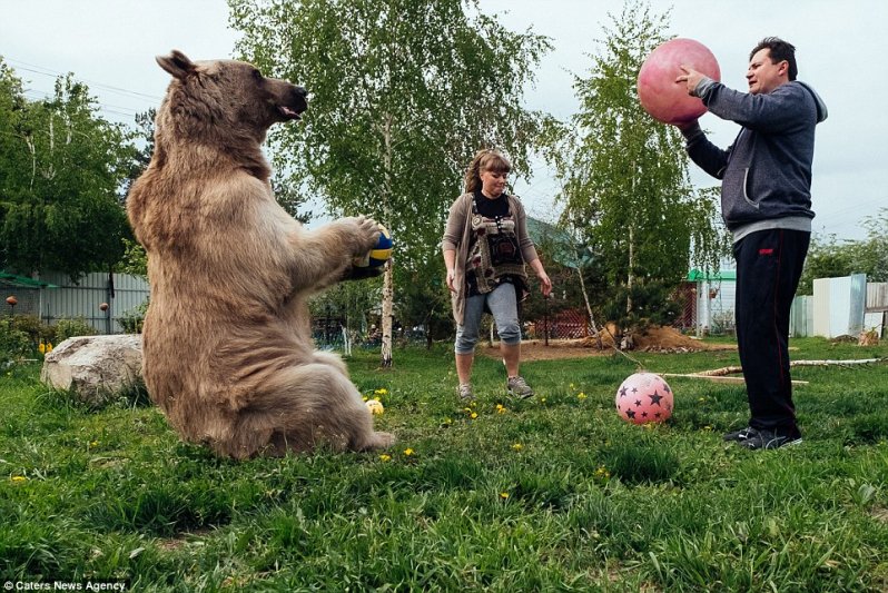 34bd939e00000578-3614880-on-your-head-the-couple-said-the-bear-pictured-playing-football--a-58-1464513299931