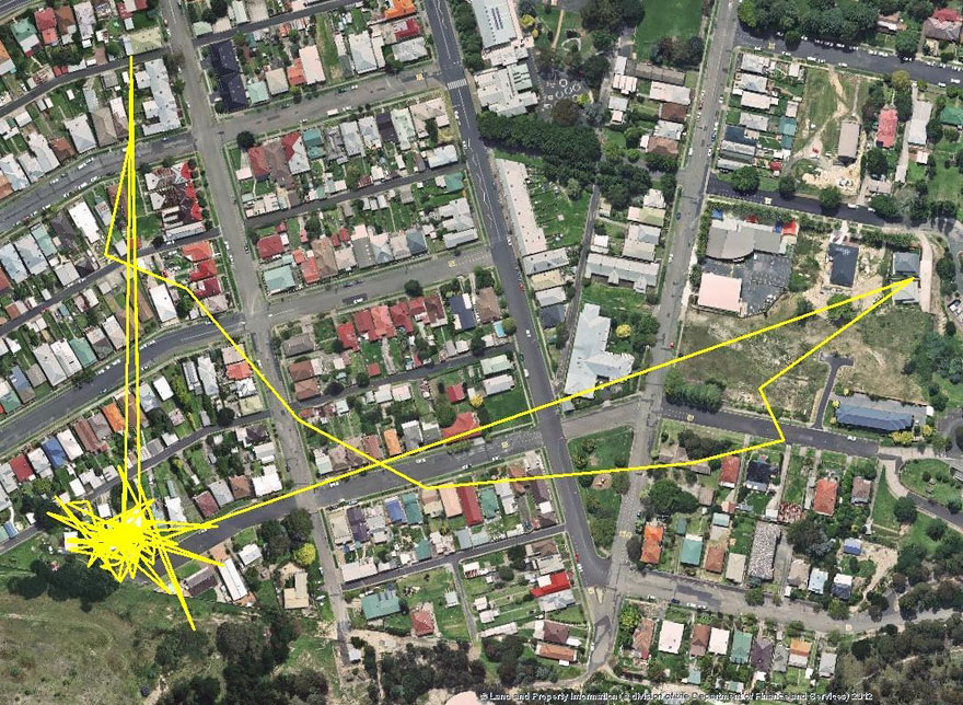 gps-tracker-cat-movement-map-lithgow-central-tablelands-local-land-services-5