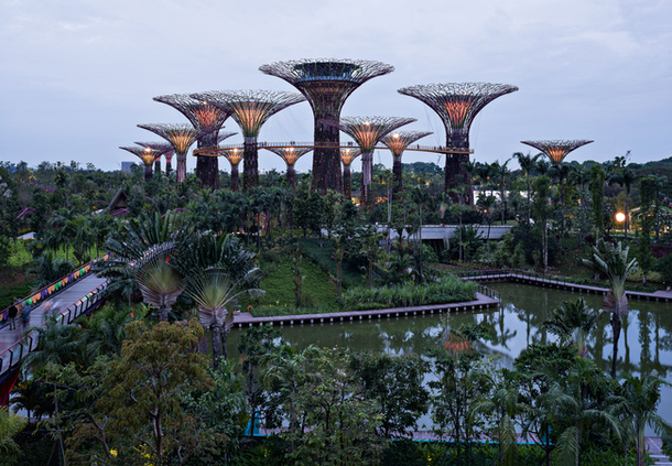 Высокотехнологичные деревья в Сингапуре