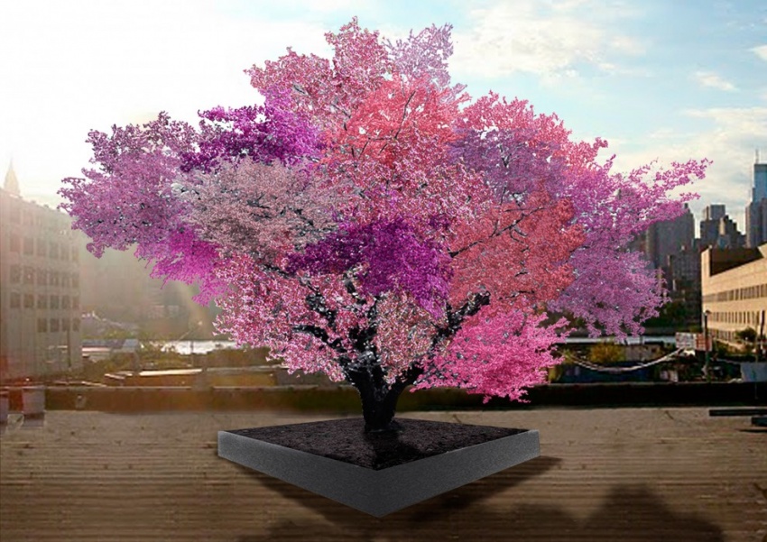 Американский профессор создал дерево, на котором растёт 40 видов фруктов