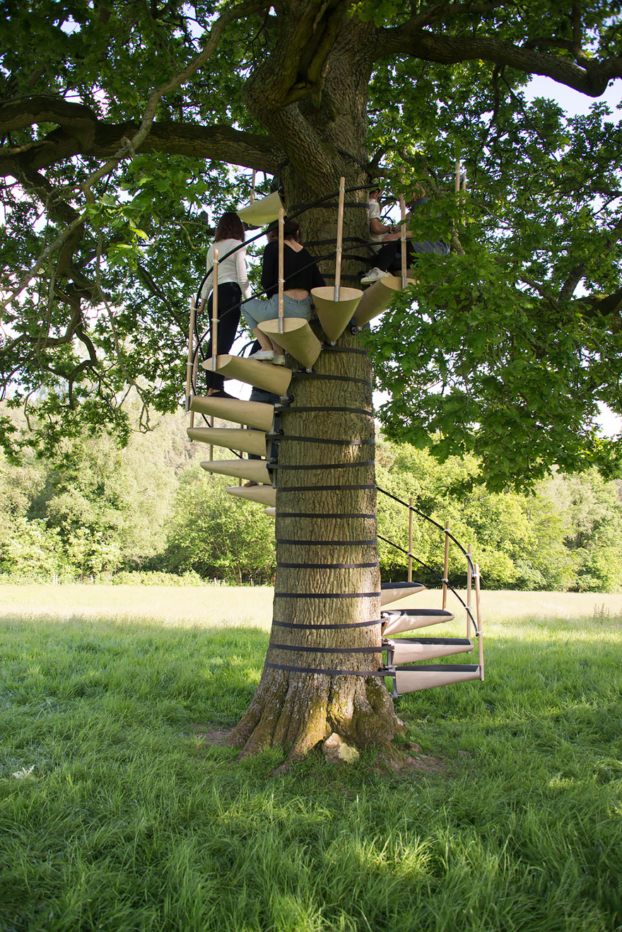 Эту чудо-лестницу можно прикрепить к любому дереву, не причиняя ему вреда