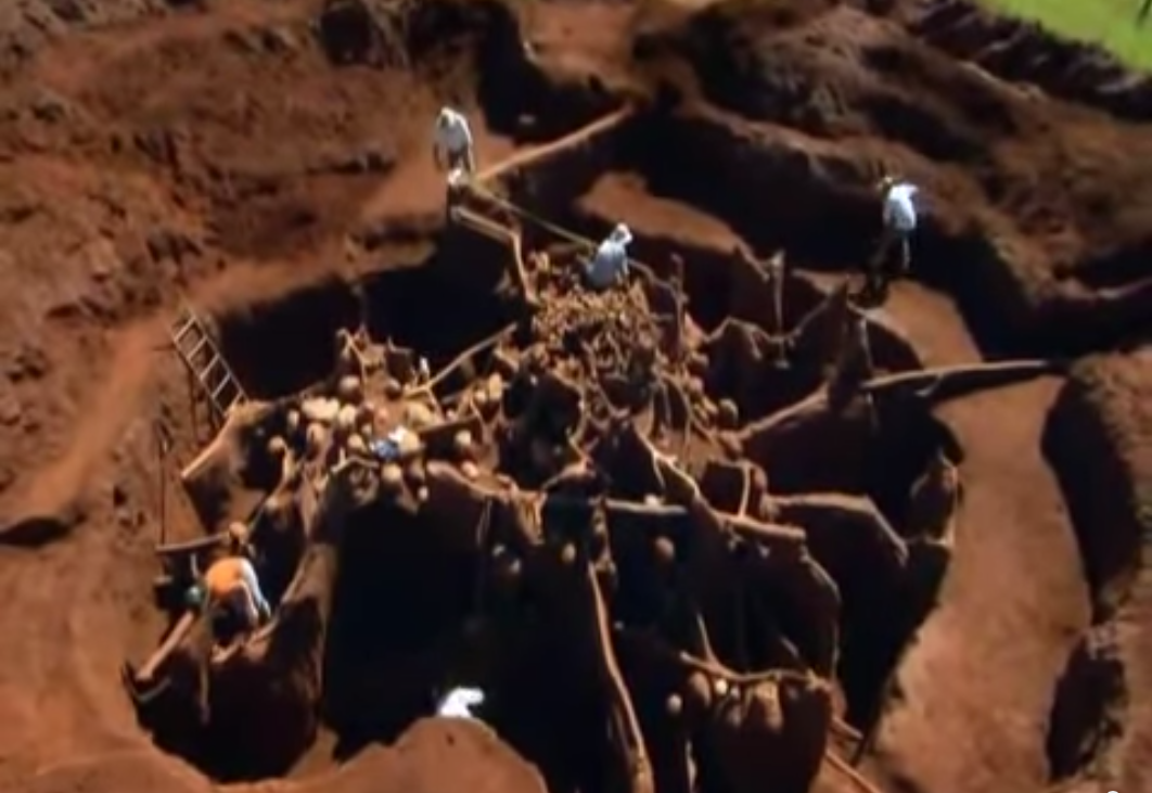 Колоссальный подземный город муравьёв