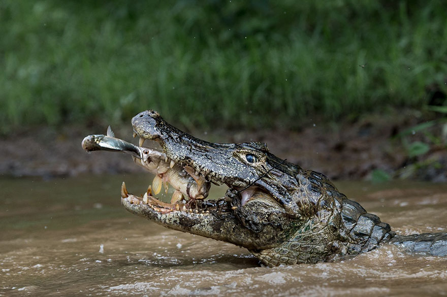 national-geographic-travel-photographer-of-the-year-2016-winners-10-577b5b3fad410__880