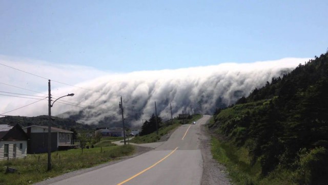 Стена тумана на острове Ньюфаундленд