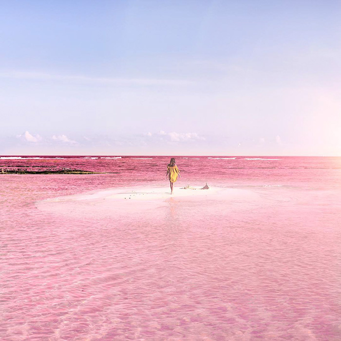 pink-lagoon (4)