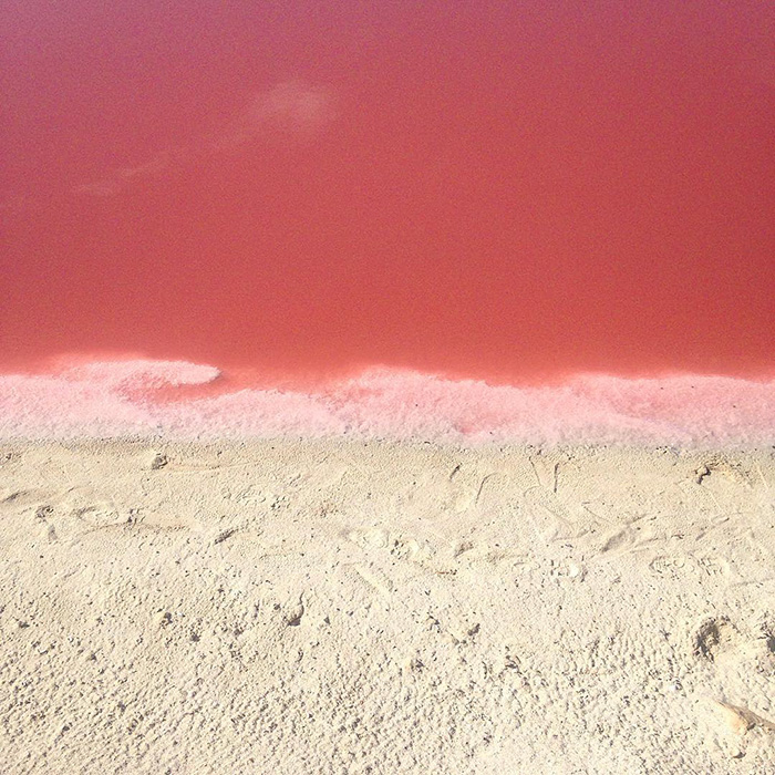 pink-lagoon (6)