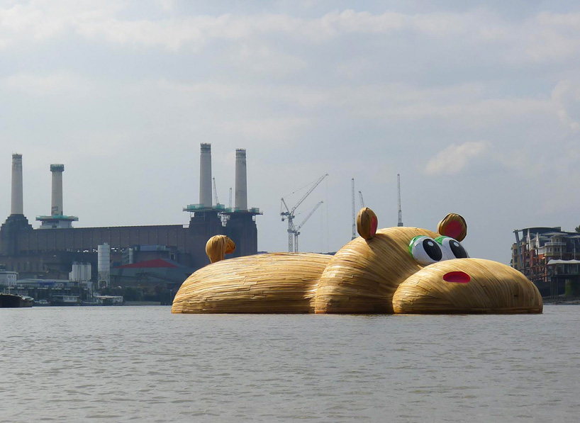 hippopothames-4