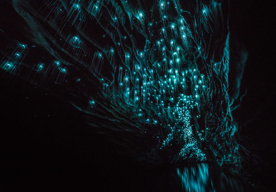 Звездное небо из светлячков в новозеландских пещерах