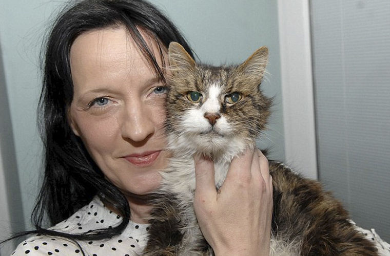 Хозяйке вернули кота, который потерялся 14 лет назад