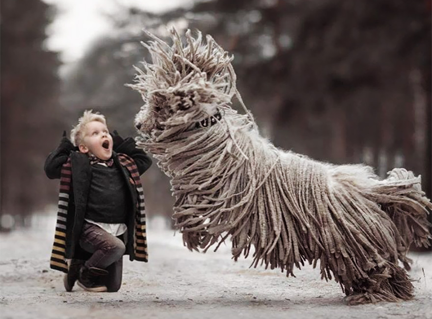 Русский фотограф снимает маленьких детей играющих с из огромными собаками