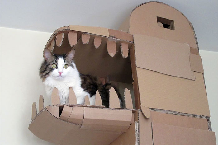 Креативный домик для кошки из картонных коробок