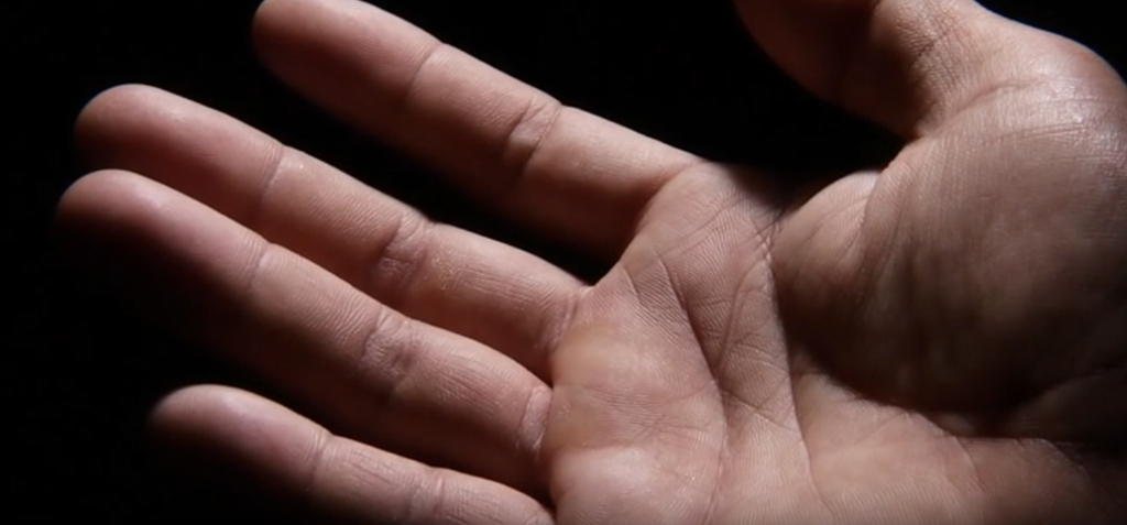 Папиллярный узор пальца — макросъемка