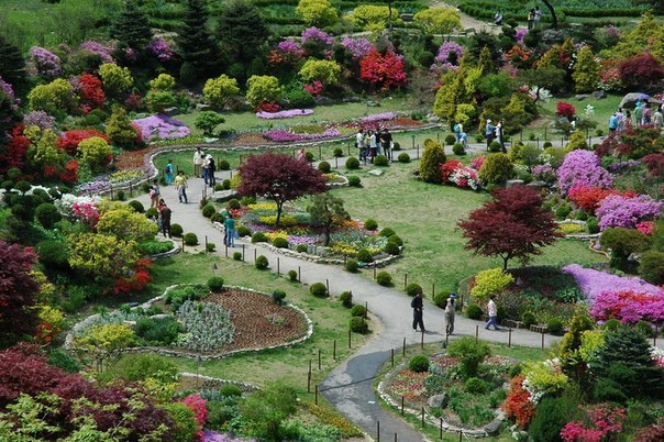 Сад утреннего спокойствия в Южной Корее