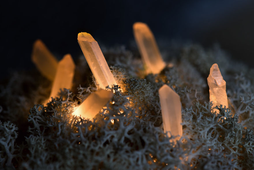 Уникальные светильники из настоящих кристаллов и мха