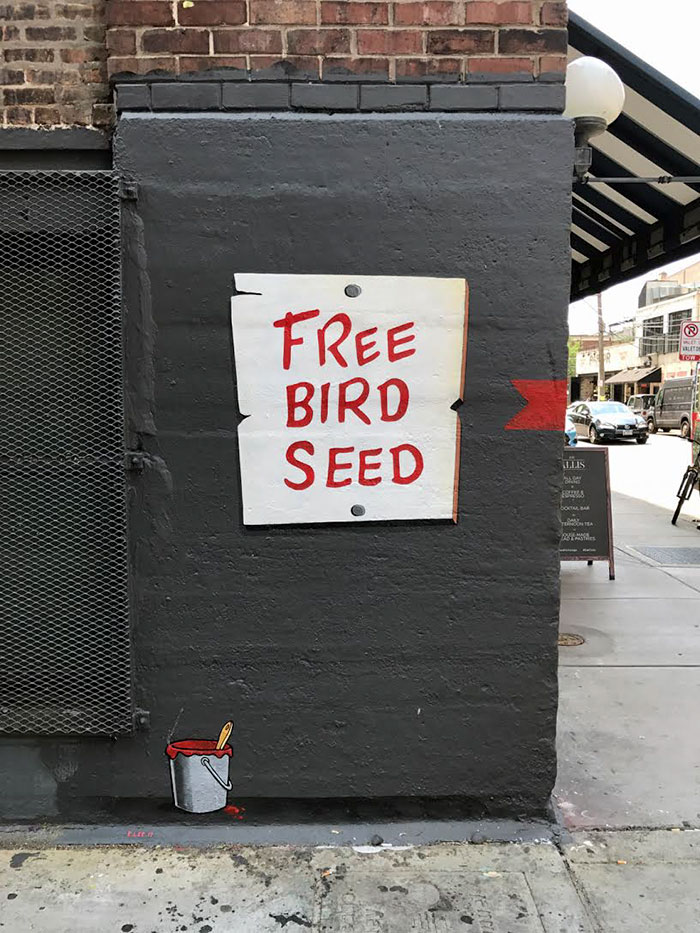 Граффити с «бесплатным кормом для птиц» в Чикаго ведет к сюрпризу