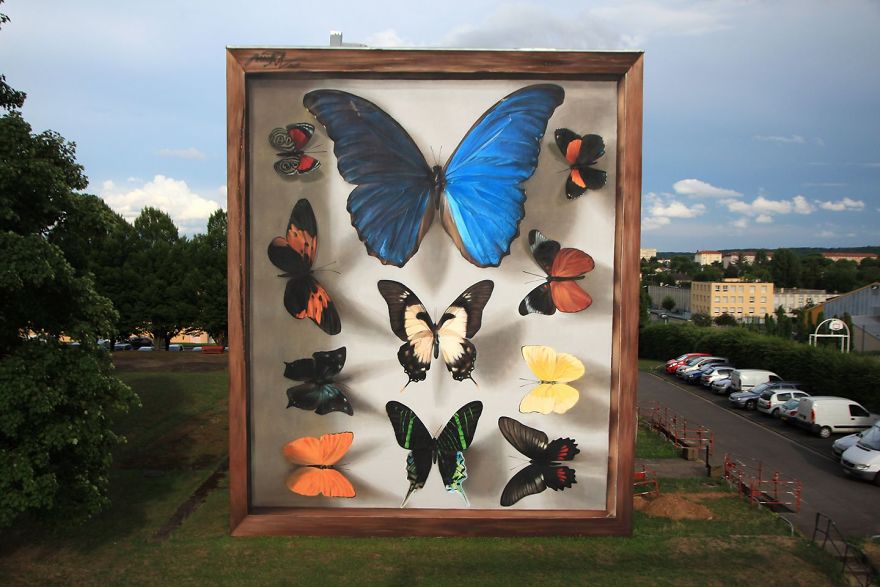 Художник добавляет шарма скучным улицам рисуя гигантских бабочек на стенах