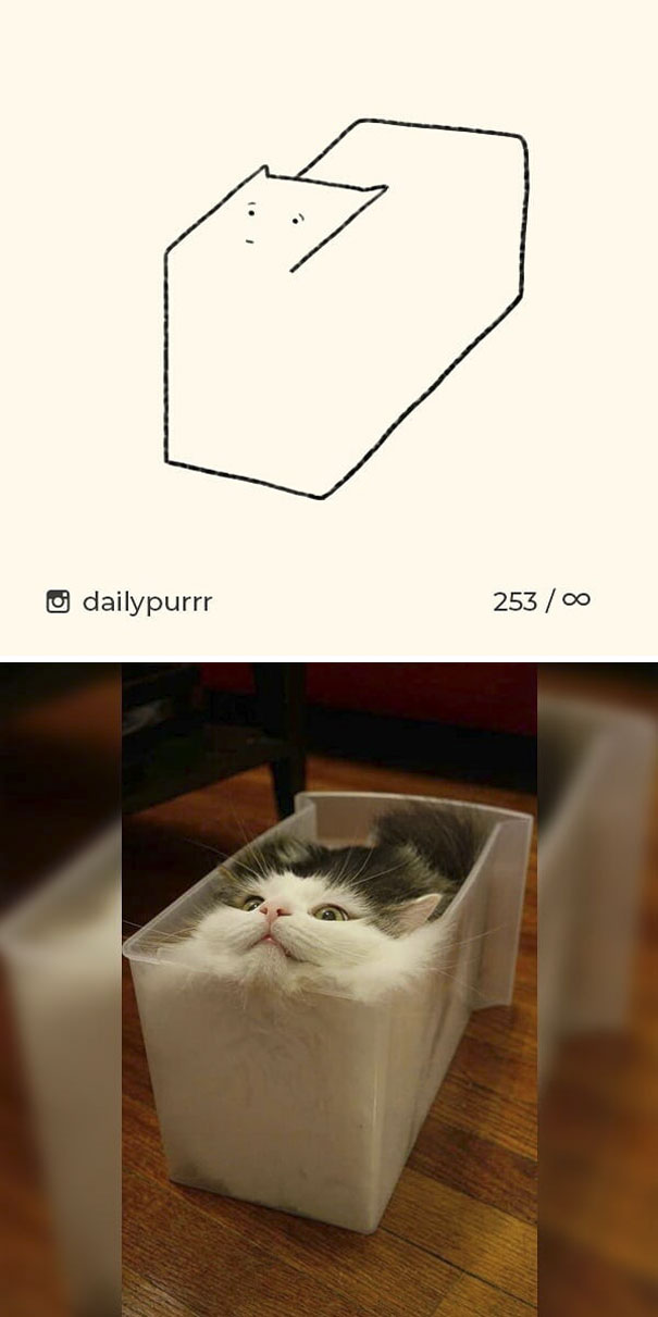 Самые забавные рисунки кошек