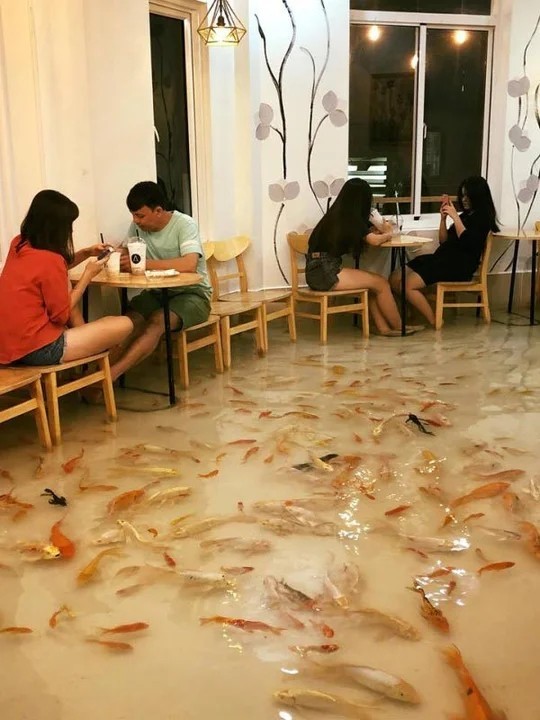 Вьетнамкое кафе с живыми рыбками на полу